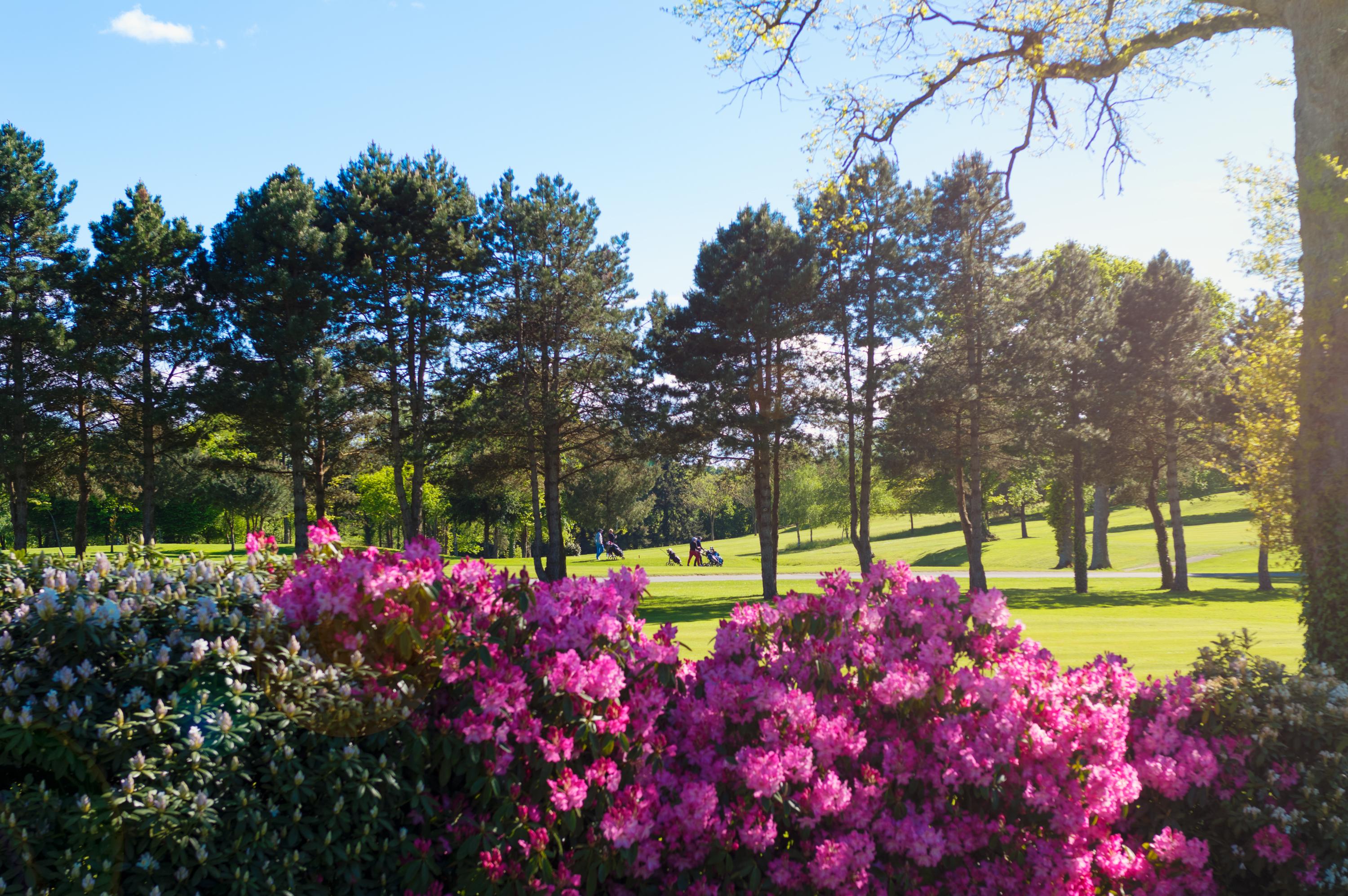 Saint Malo Golf Resort Le Tronchet  Exterior foto